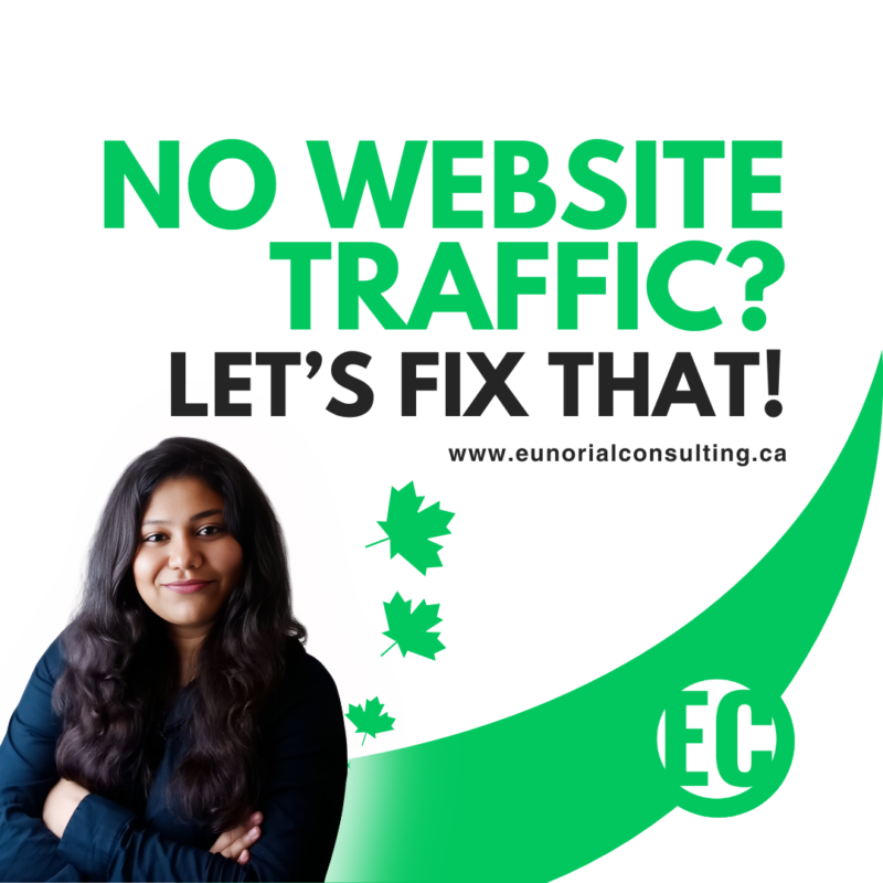 No Website Traffic Lets Fix that